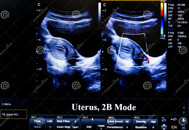 1718677780659.png 1718677780659.png