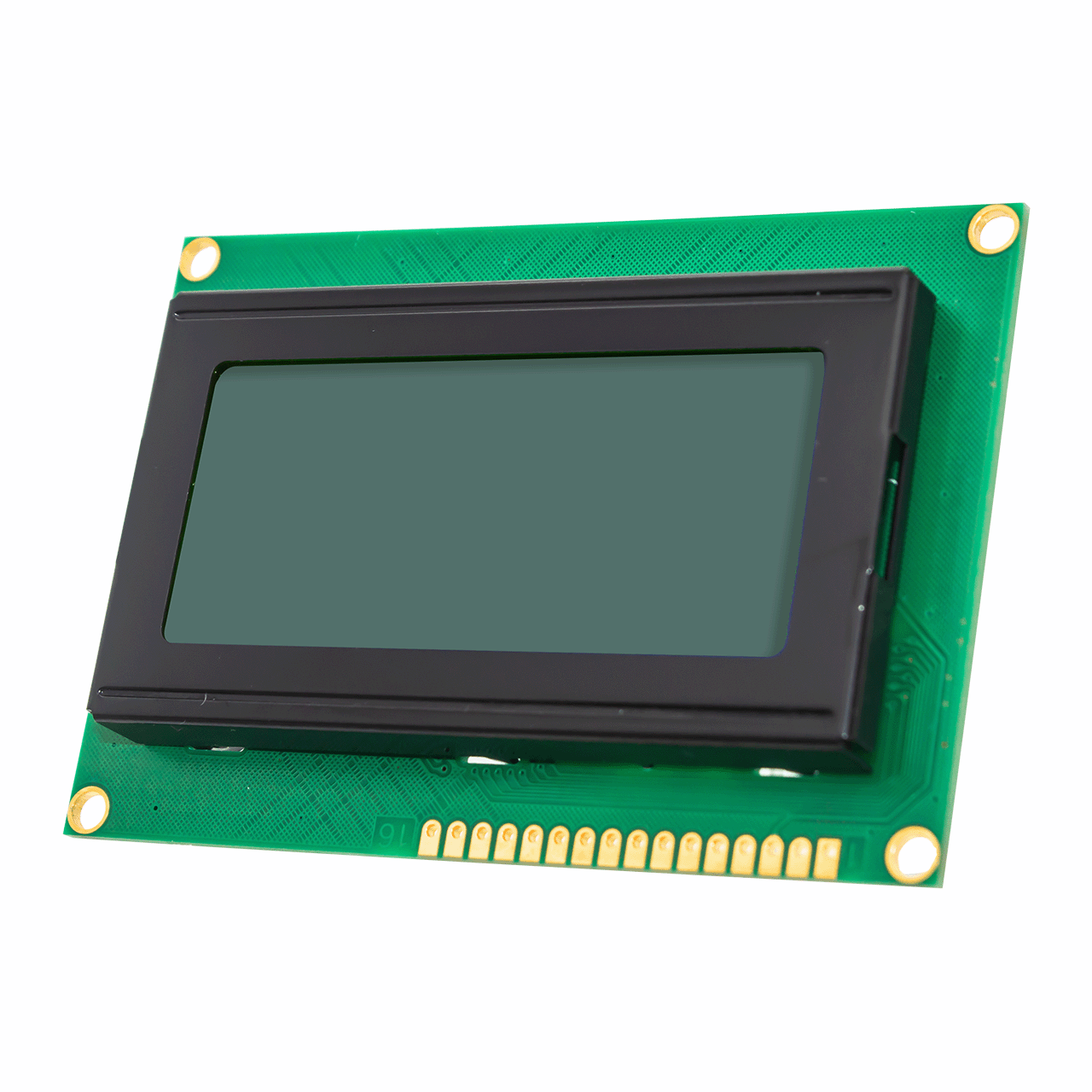 16x4 Charactrt LCD Module | STN(+)With Yellow-Green Backlight