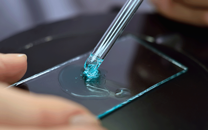 Liquid crystal injection and sealing process