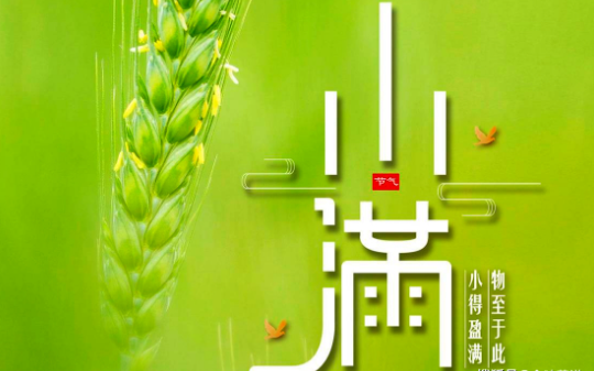 Grain Full Moon in 2025