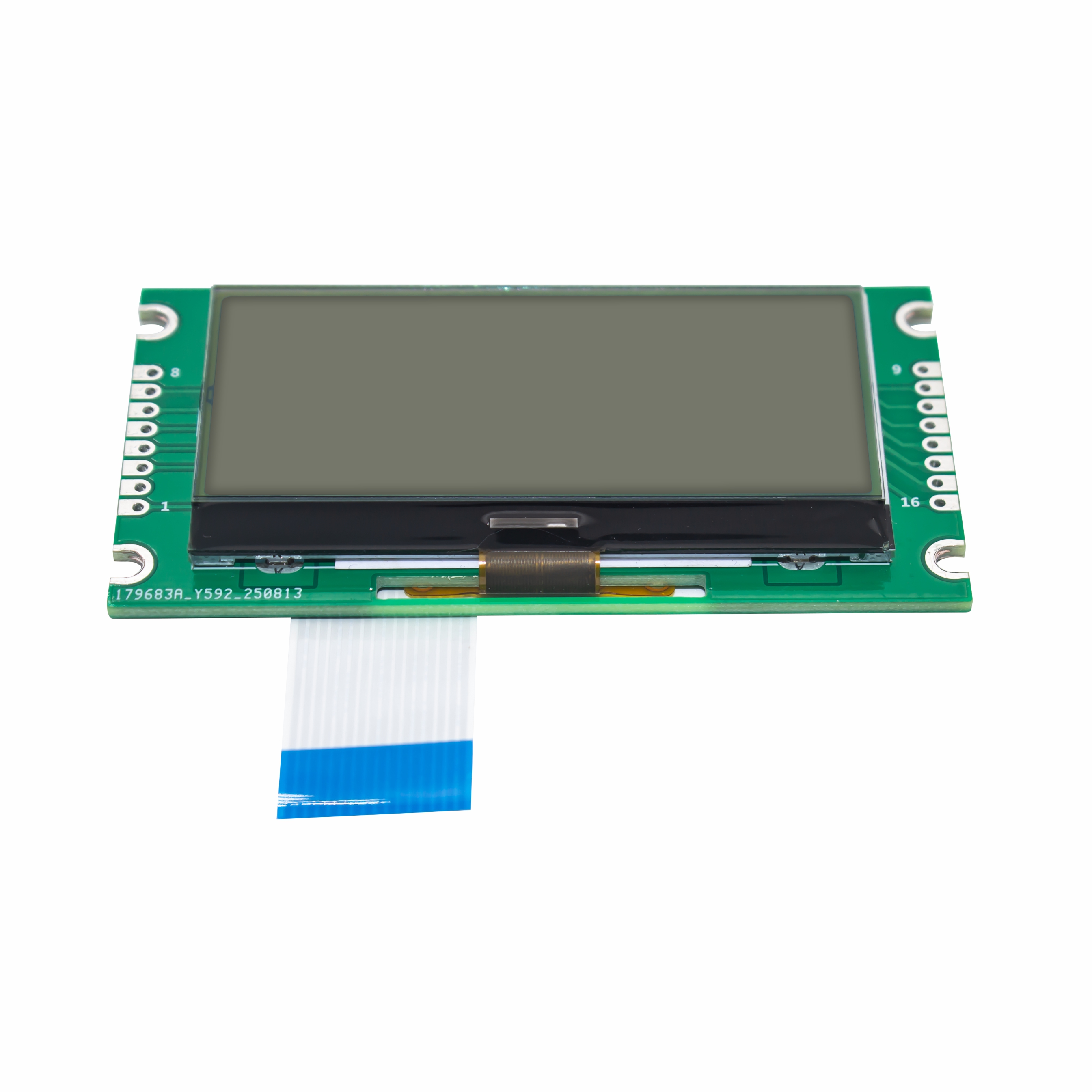 160x64 Graphic LCD Module | FSTN+Gray Display With White Backlight